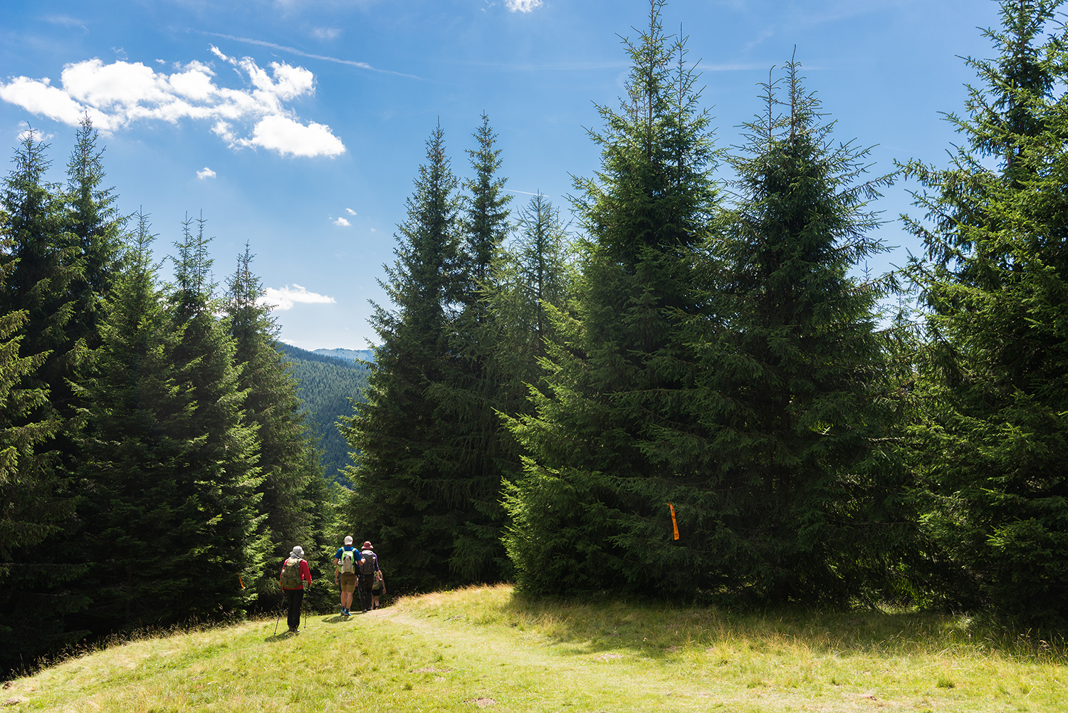  Munții Bucegi