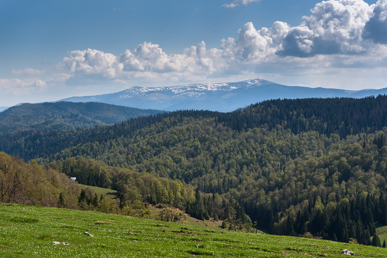 Padiș