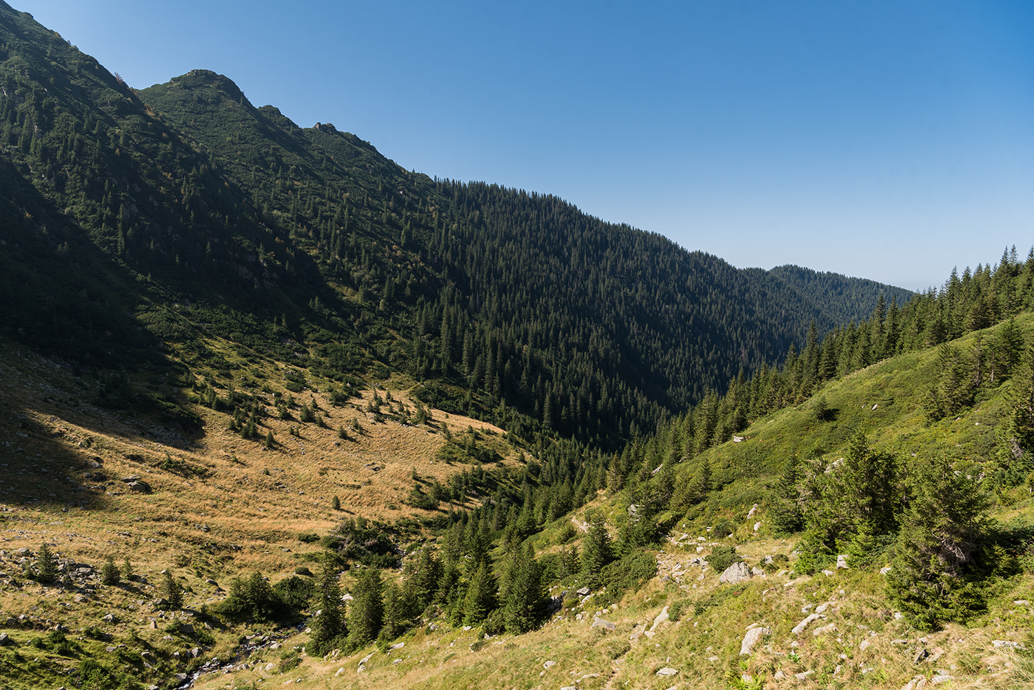  Munții Făgărașului