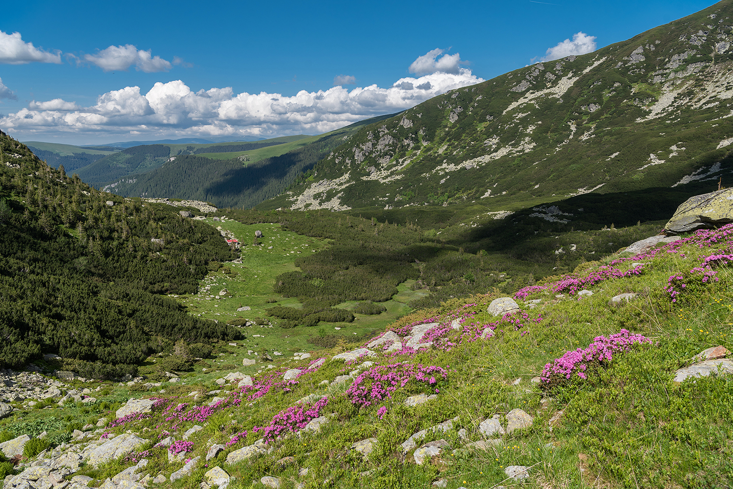 Munții Parâng