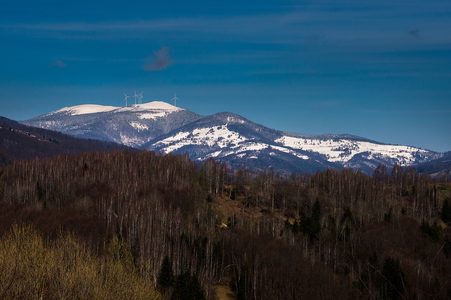 Munții Bihor