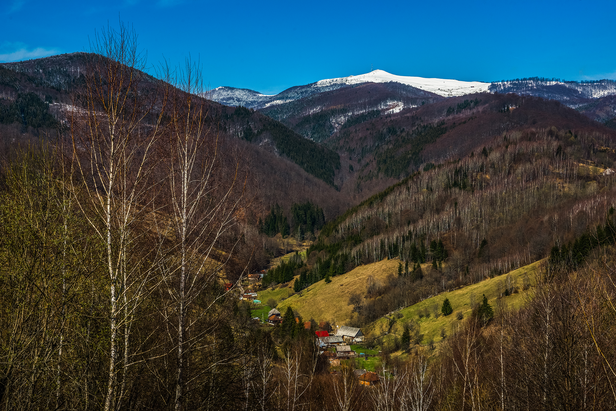 Muntele Găina