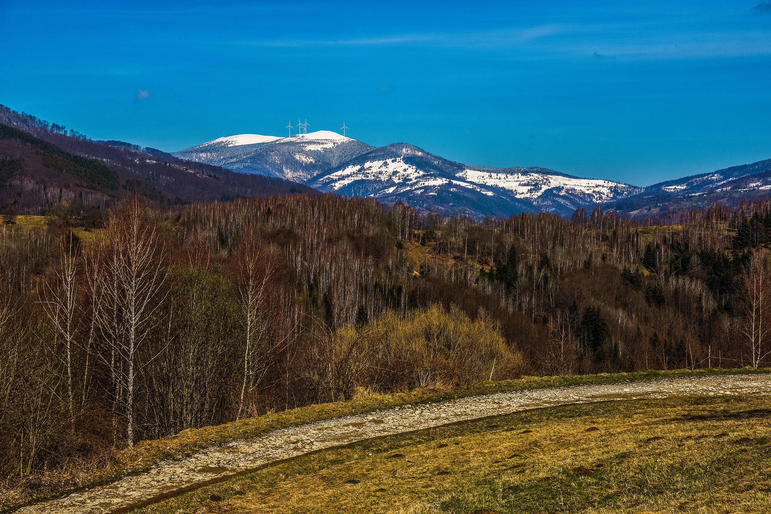 Muntele Găina