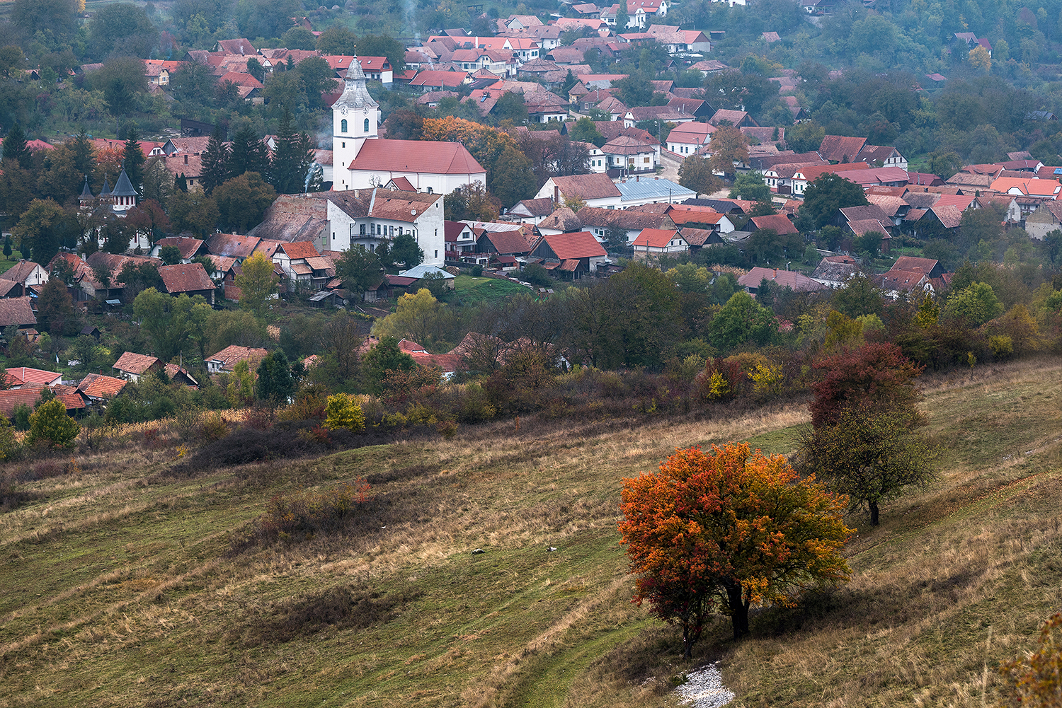 Munții Trascăului