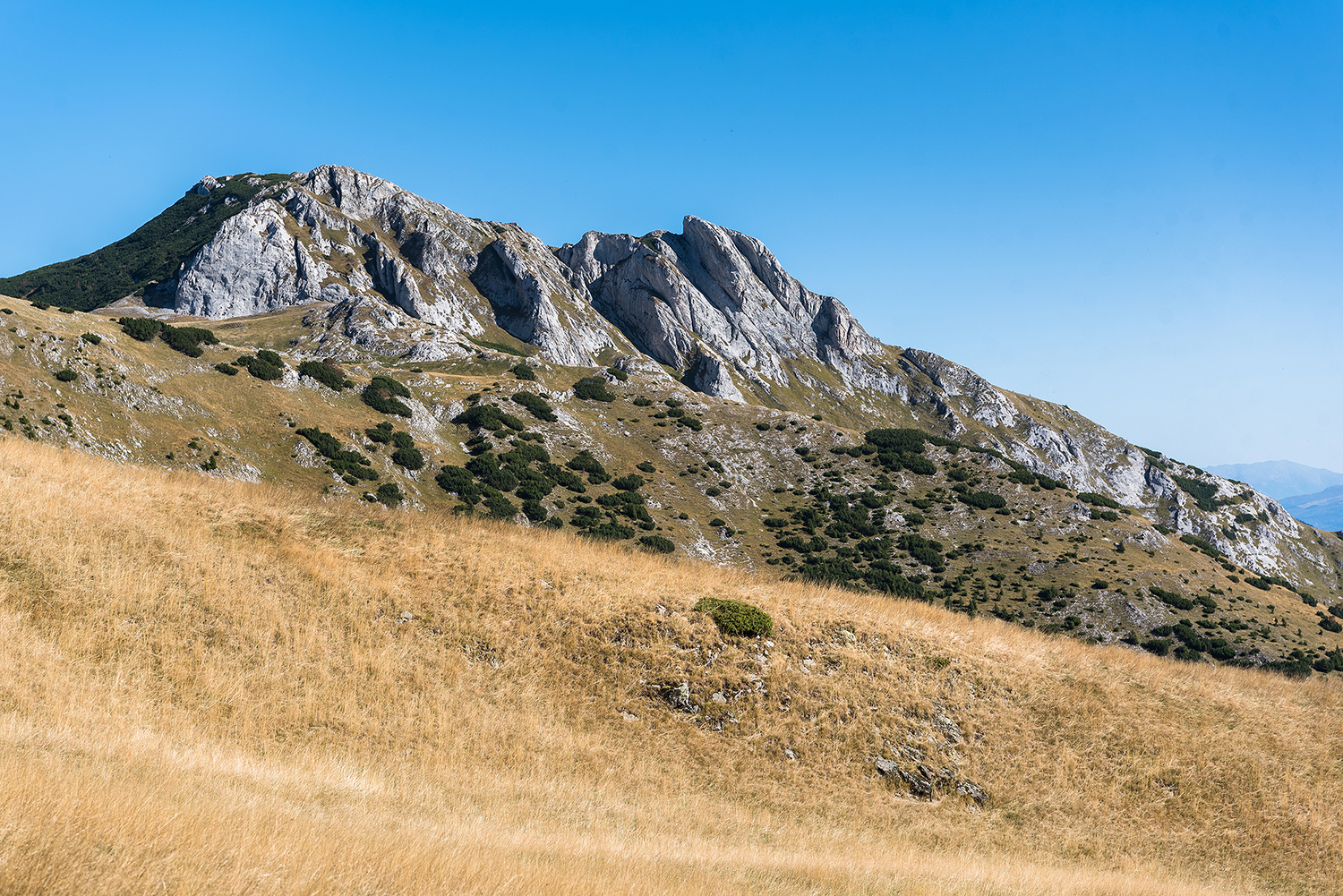 Munții Piule - Iorgovanu