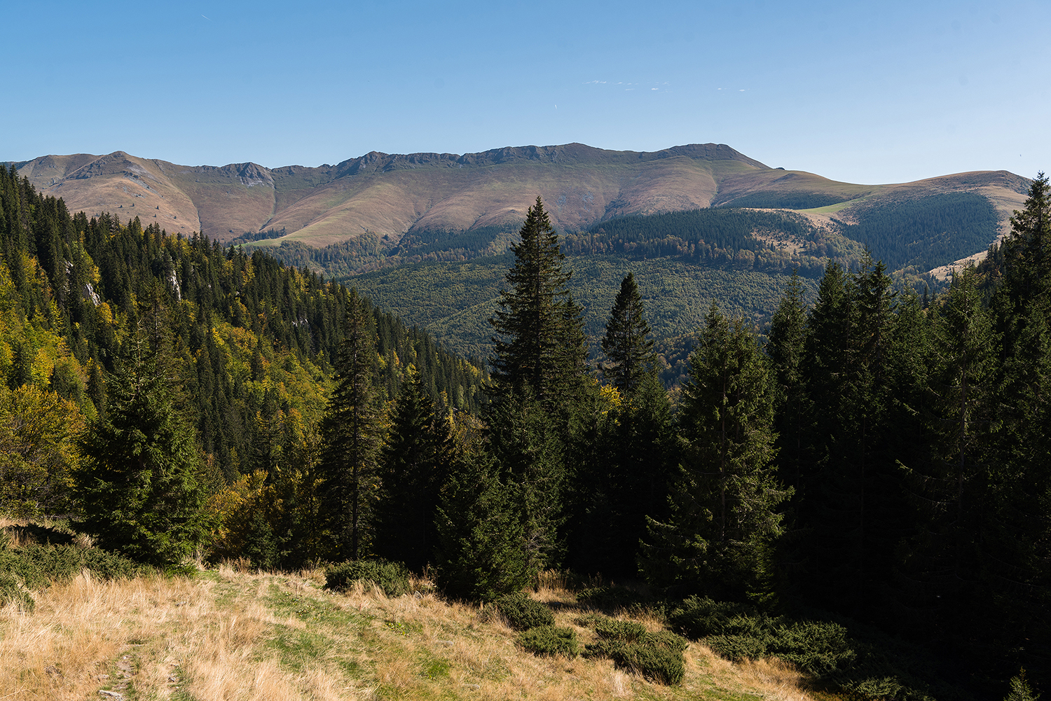 Munții Piule - Iorgovanu