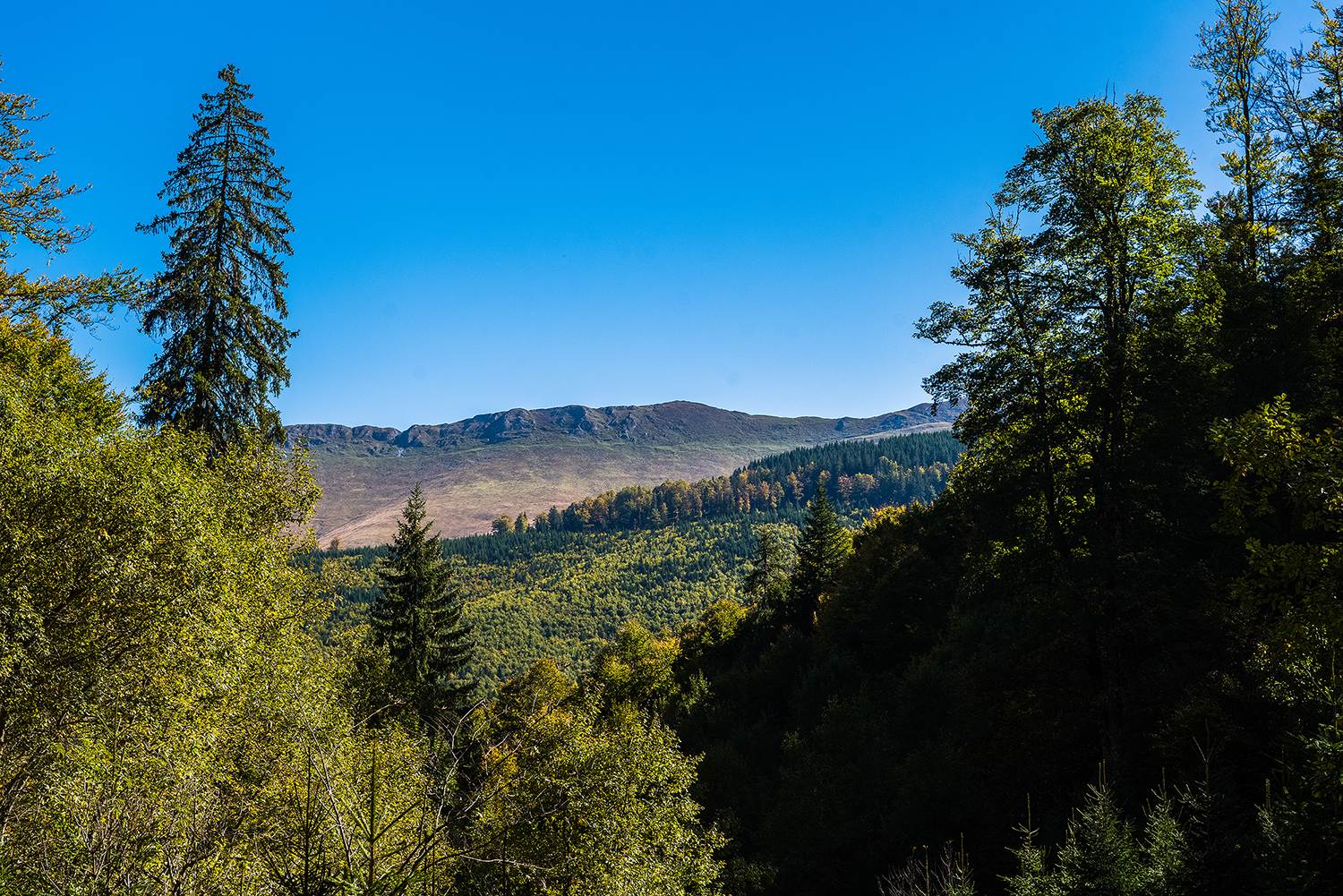 Munții Piule - Iorgovanu