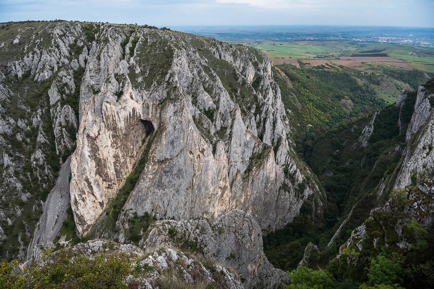 Culmea Hășdate