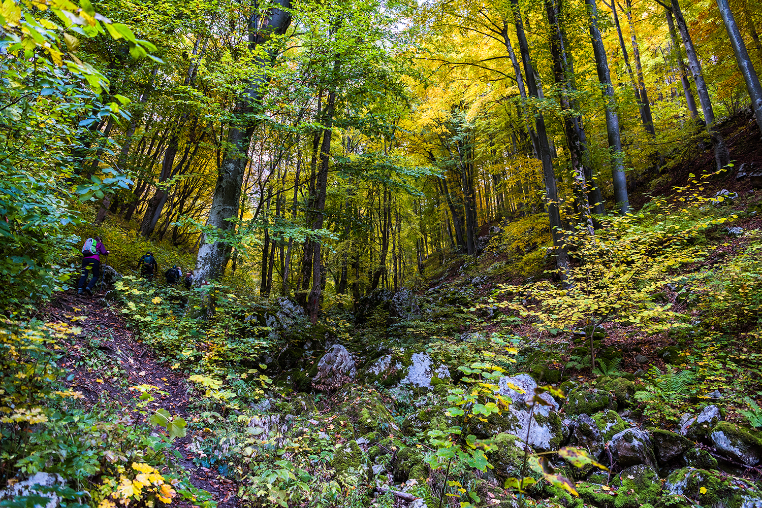 Parcul National Domogled-Valea Cernei