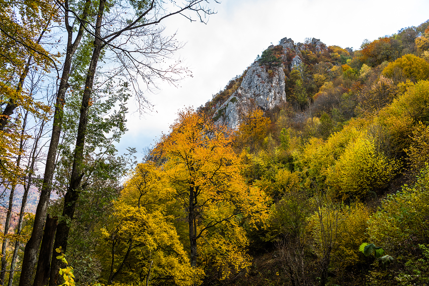 Parcul National Domogled-Valea Cernei