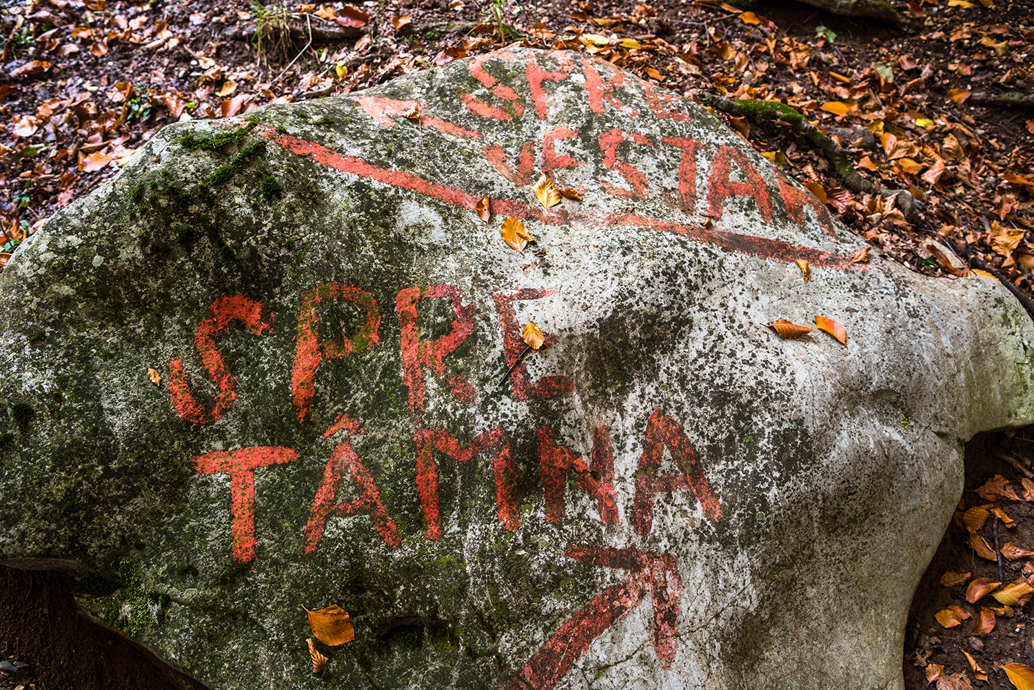 Parcul National Domogled-Valea Cernei