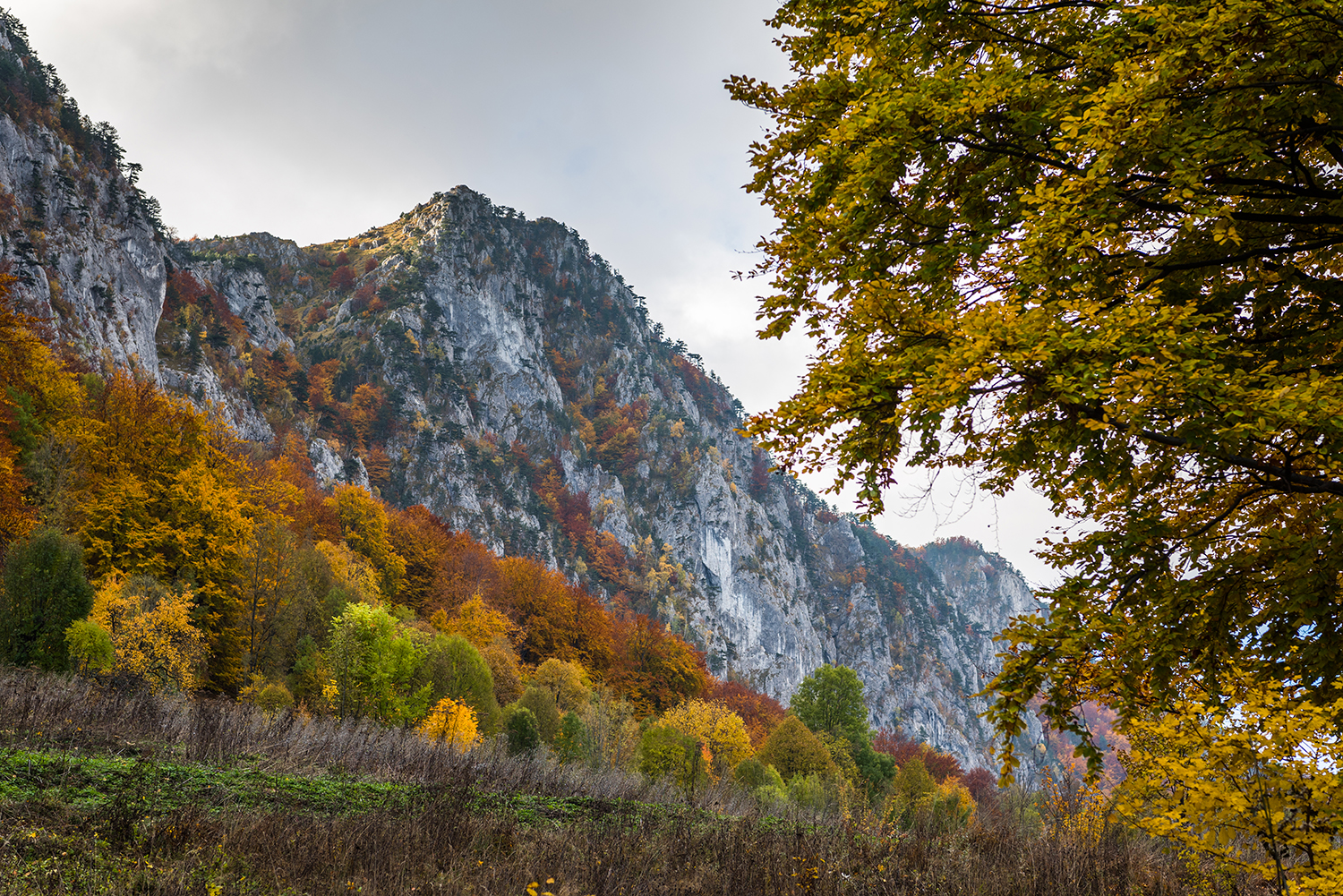 Parcul National Domogled-Valea Cernei