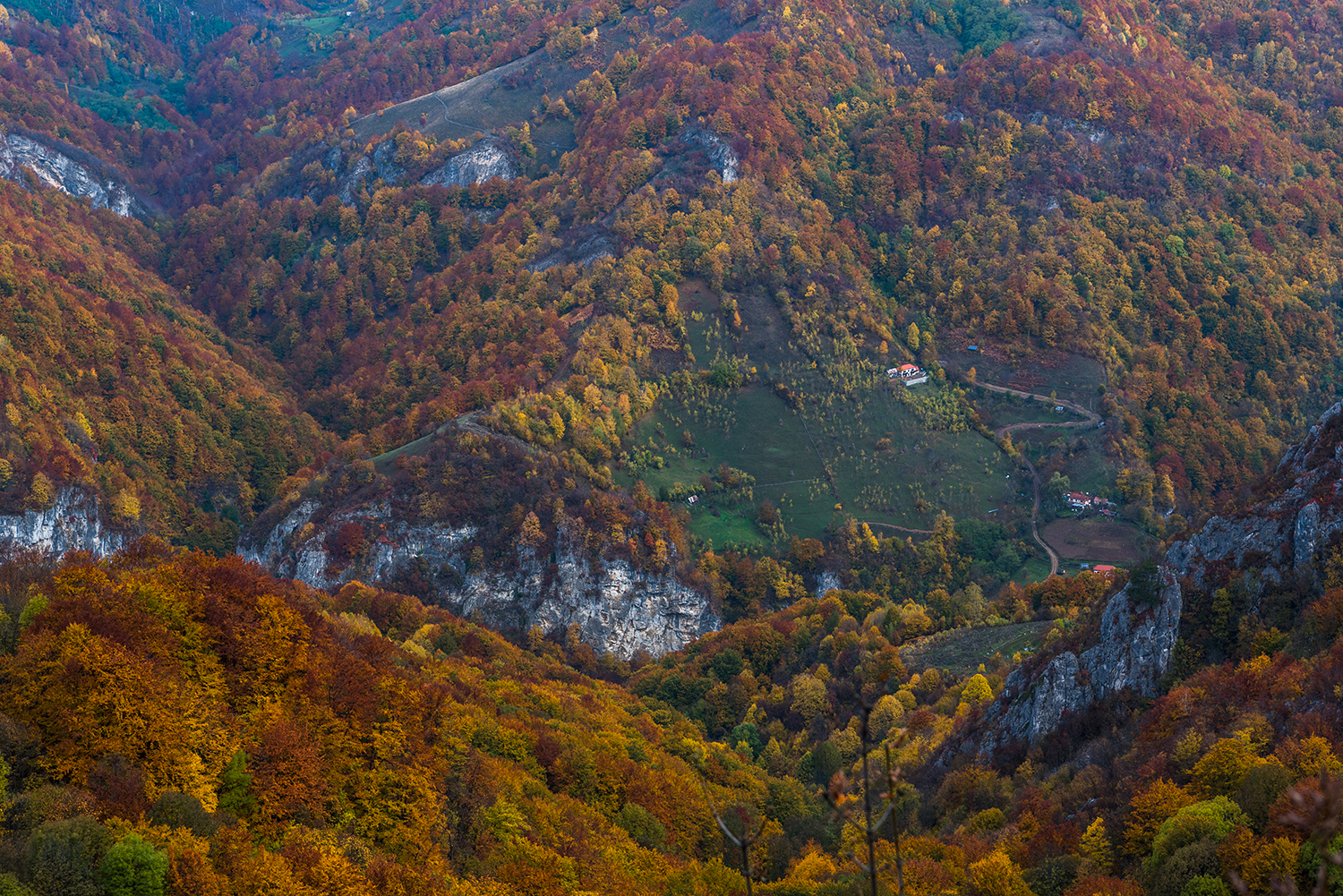 Parcul National Domogled-Valea Cernei