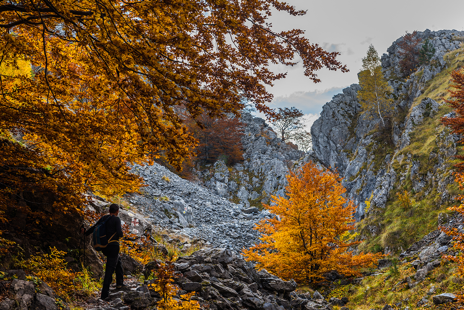 Parcul National Domogled-Valea Cernei