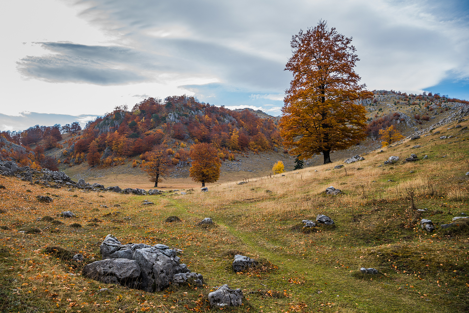 Parcul National Domogled-Valea Cernei