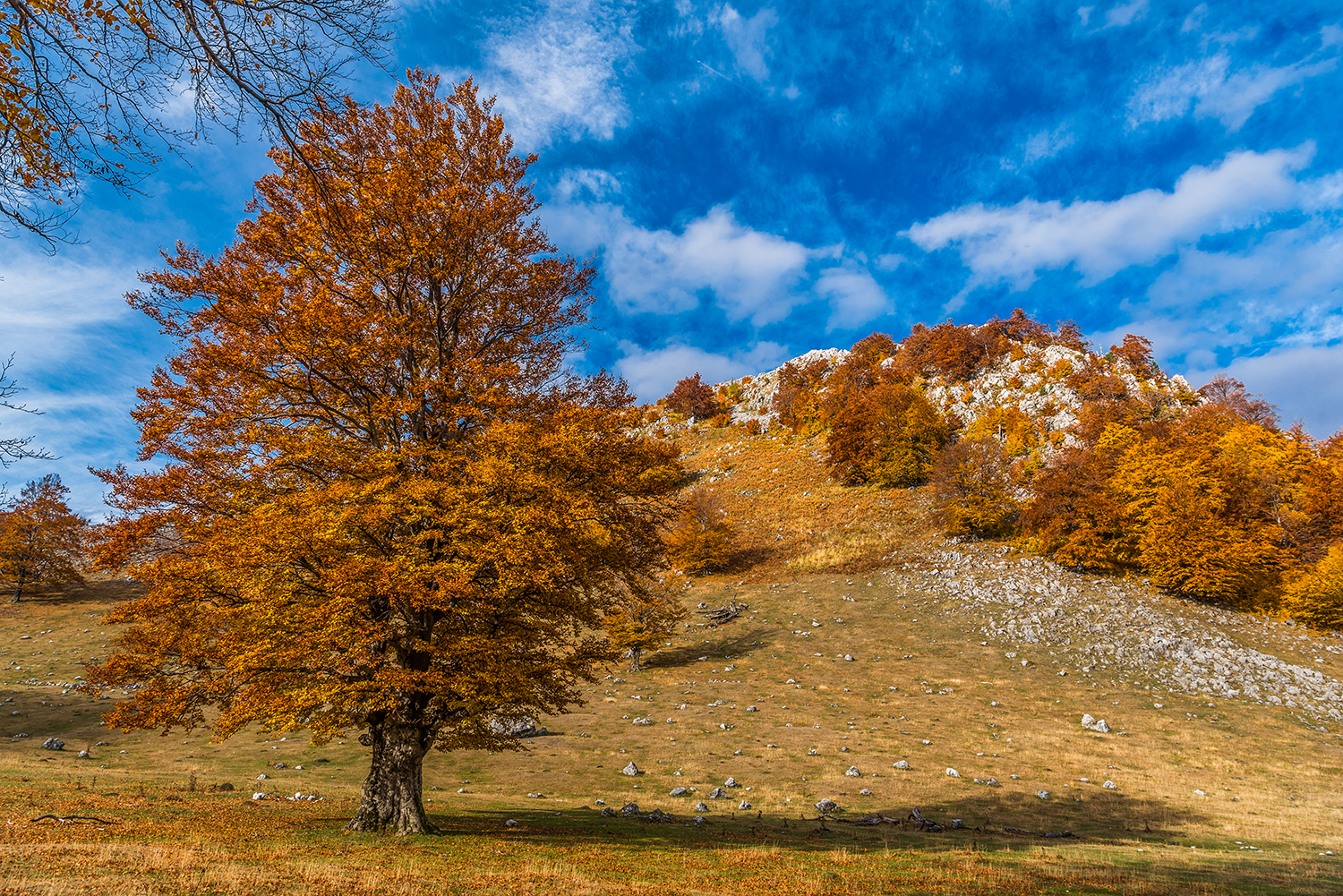 Parcul National Domogled-Valea Cernei