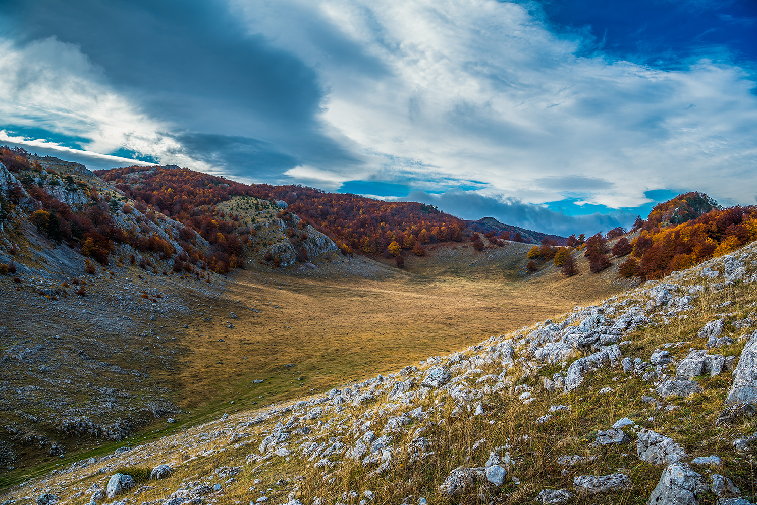 Parcul National Domogled-Valea Cernei