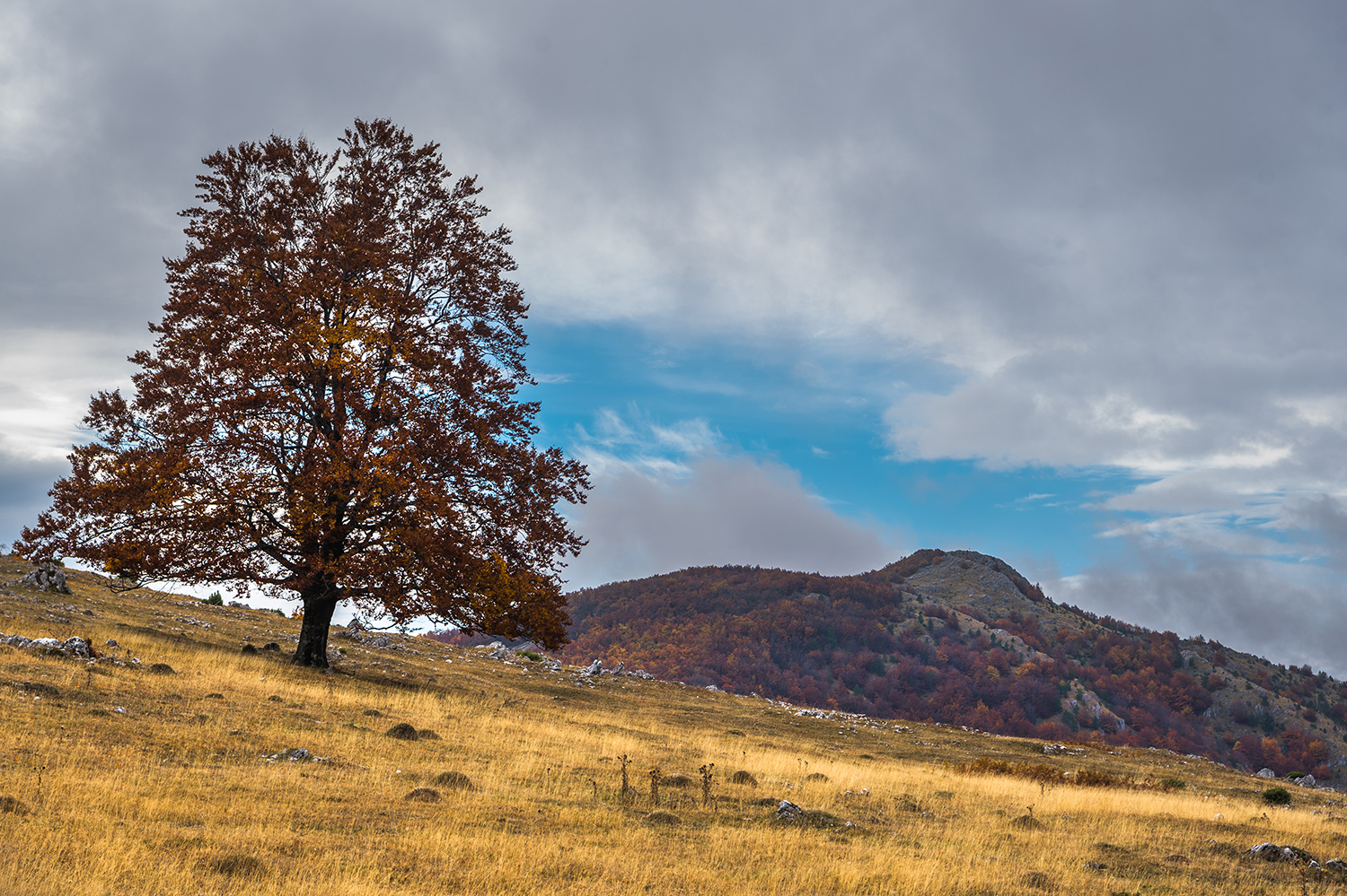 Parcul National Domogled-Valea Cernei