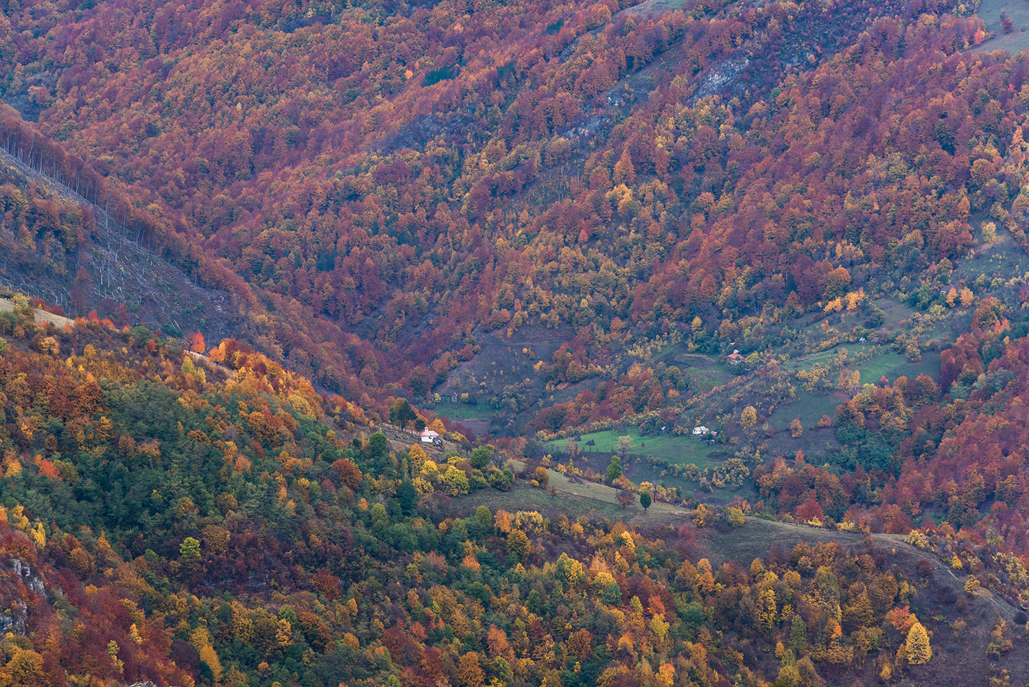 Parcul National Domogled-Valea Cernei