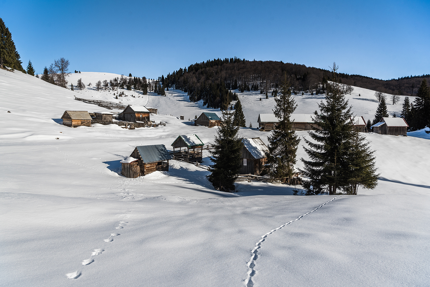 Munții Bihor