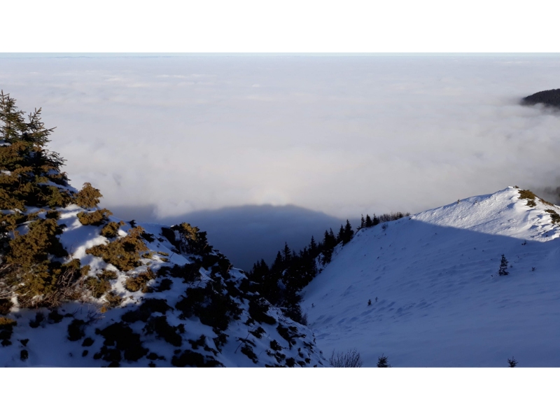 Fenomenul Gloria vazut de pe Vf. Piatra Mare Fenomenul Gloria vazut de pe Vf. Piatra Mare