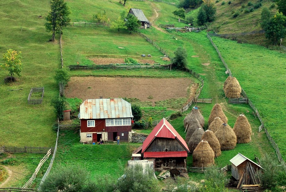  Gospodărie în muntele Cacovei - Marian Poara - Banda Rosie