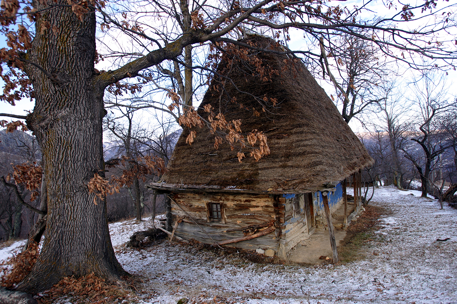 Munții Trascăului