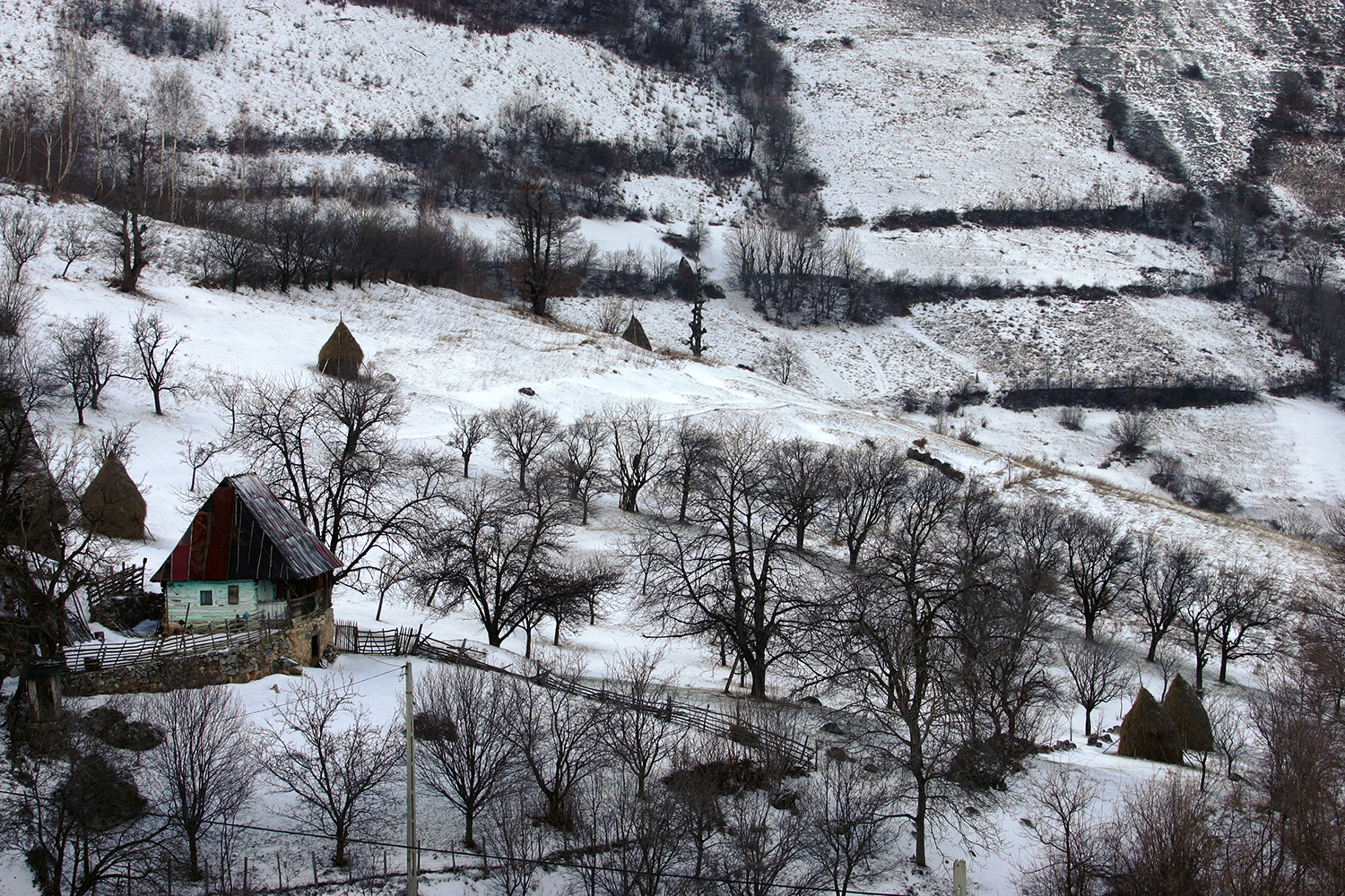 Munții Trascăului