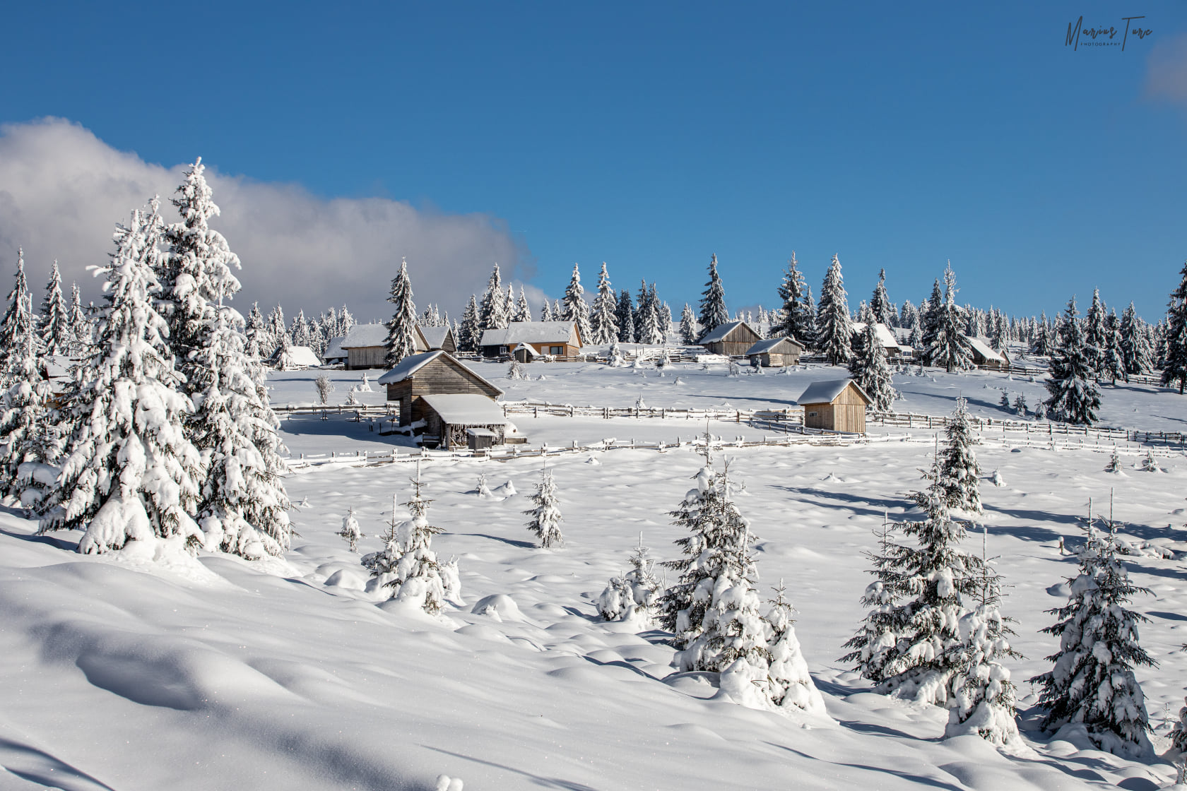  Iarna pe dealurile motilor - Marius Turc