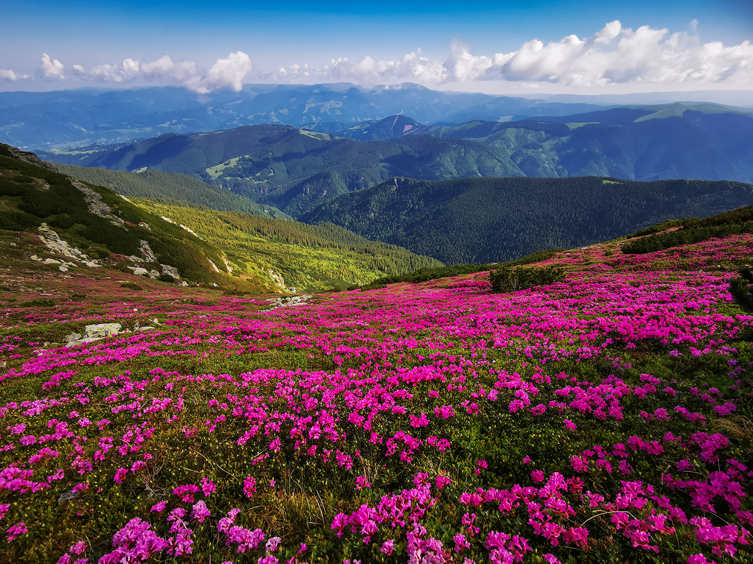  Munții Bucegi