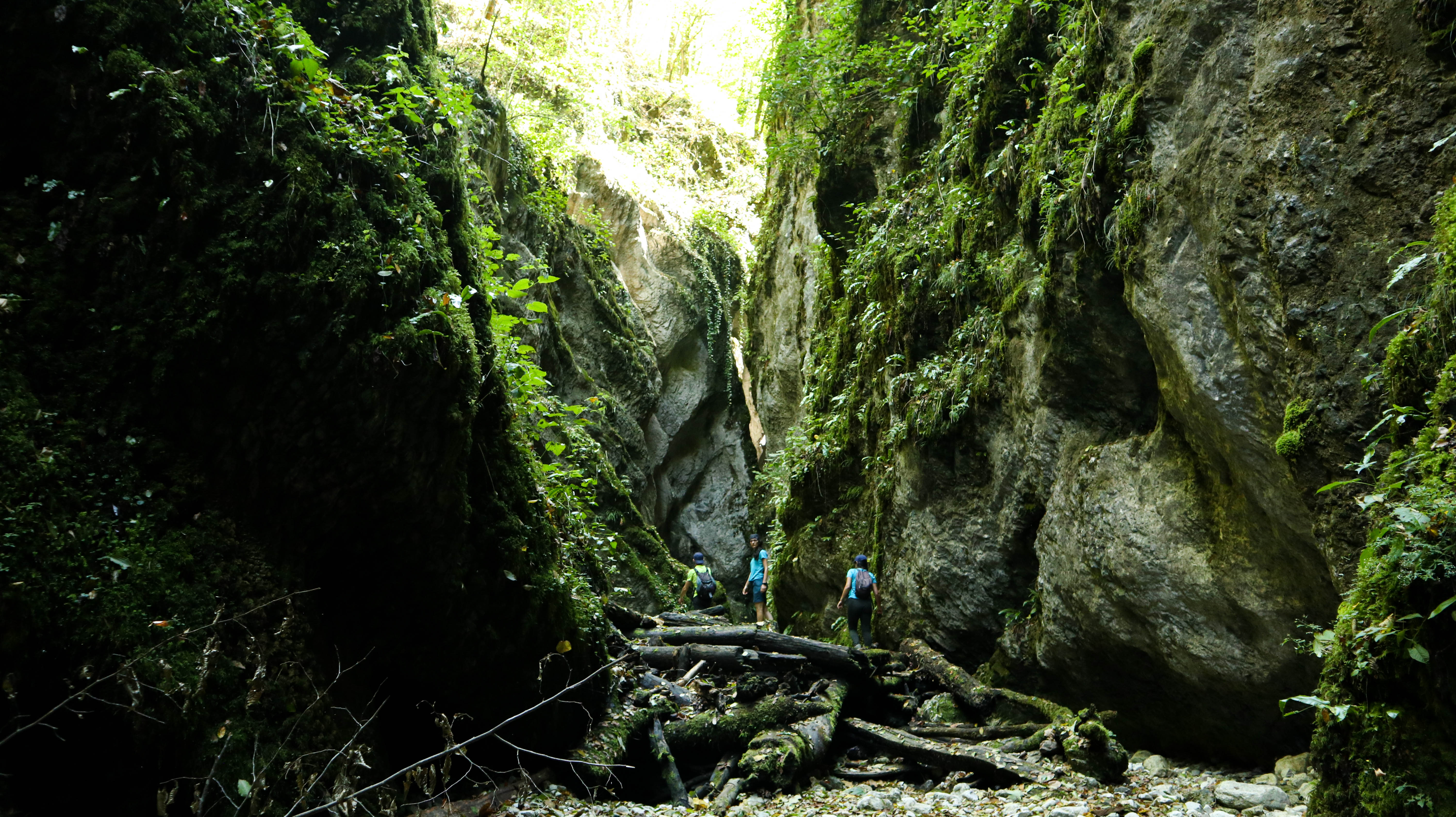 Canionul Sighistel Canionul Sighistel