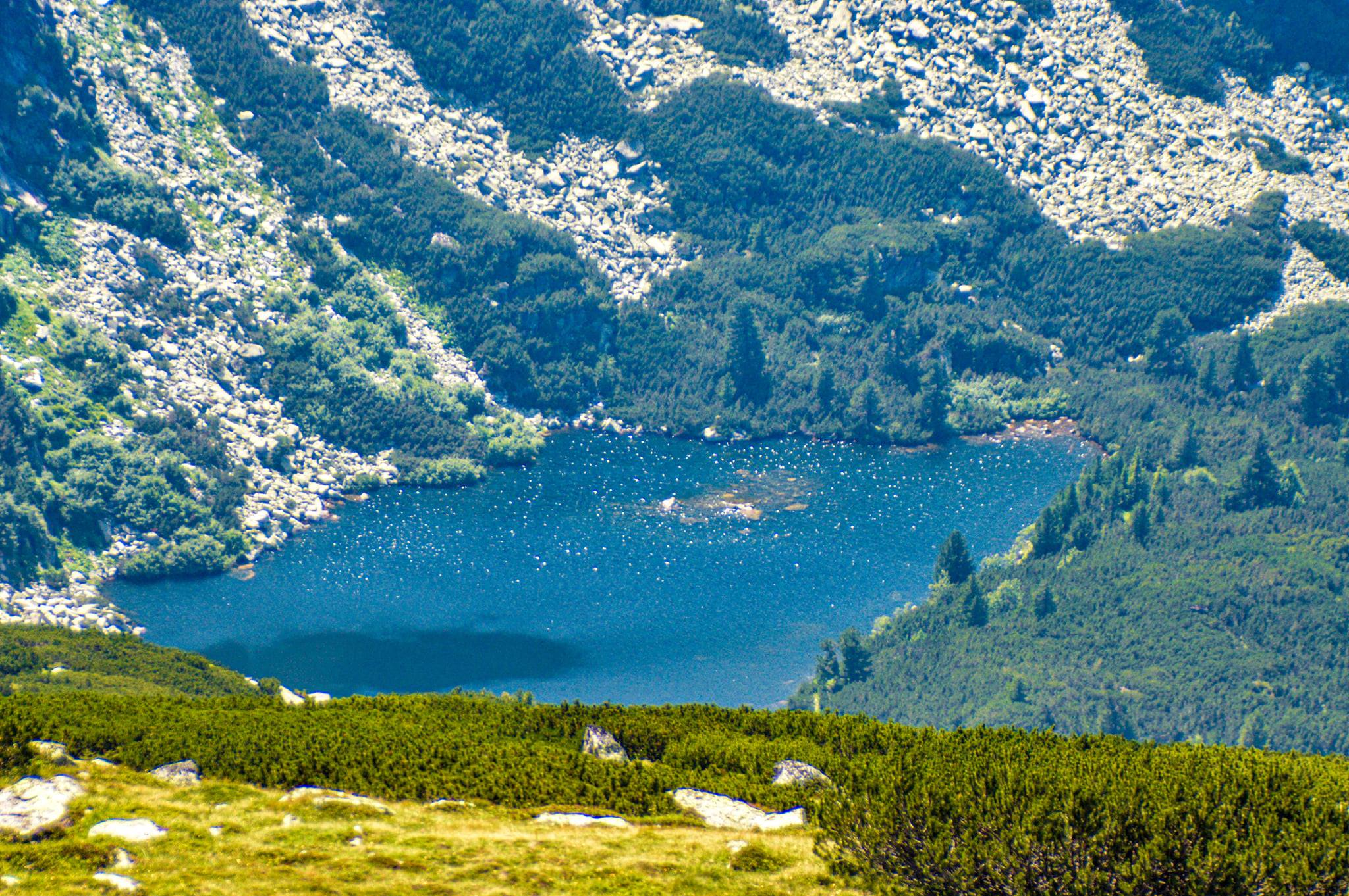  Lacul Gemenele - Nicu Ardeiu