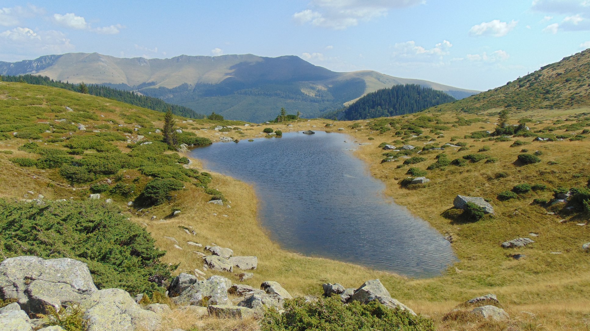  Lacul Soarbele - Carmen Paraschiv