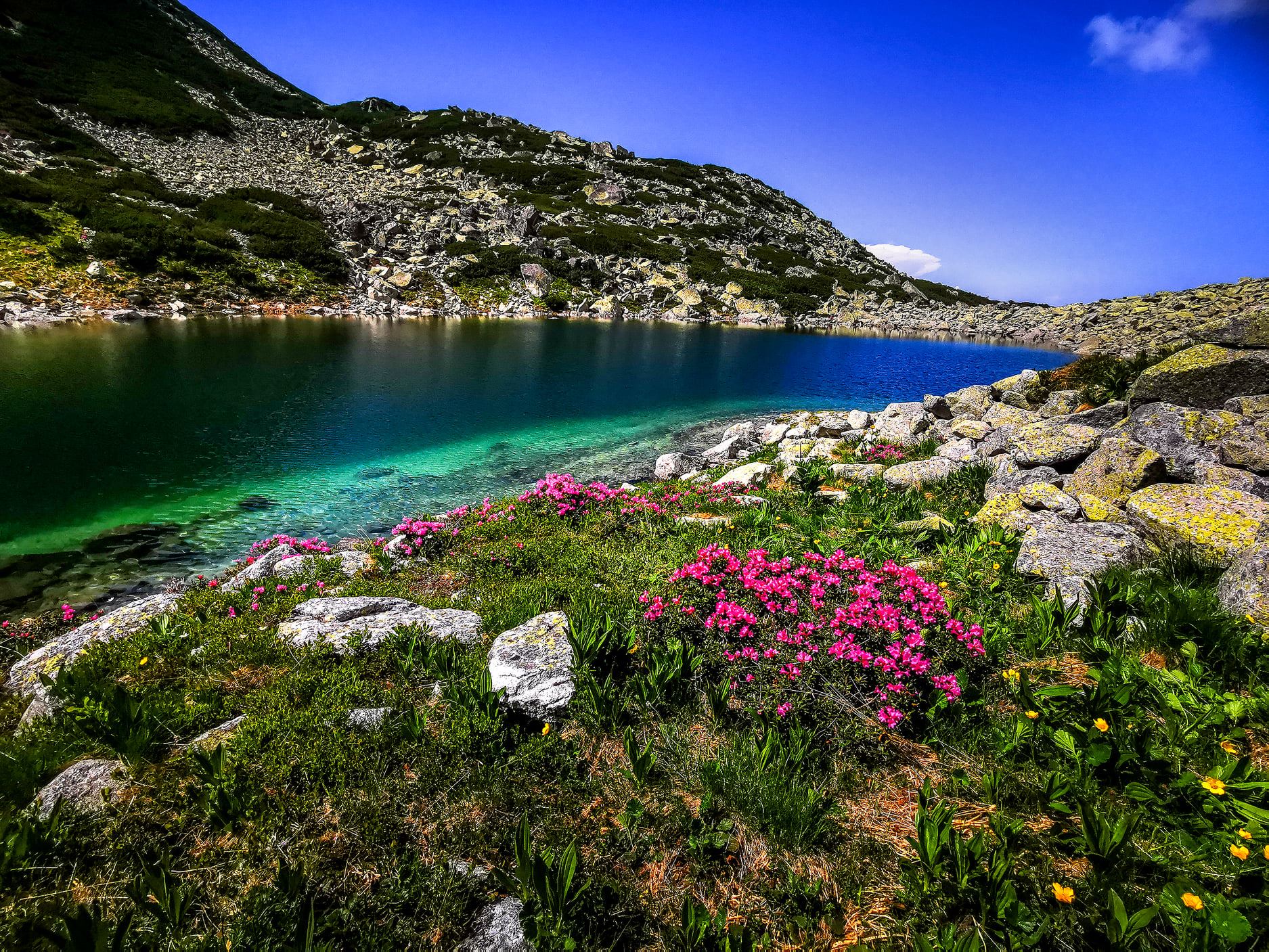  Lacul Ștevia - Daniel Morar