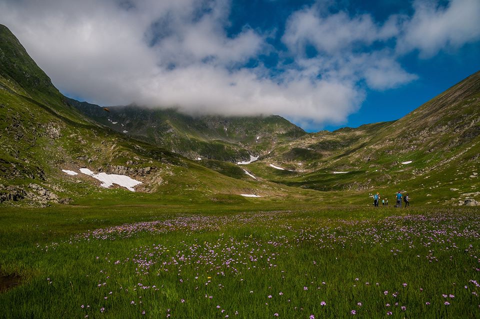  Lunca cu mlastini si ochiuri de apa -  Morar Daniel