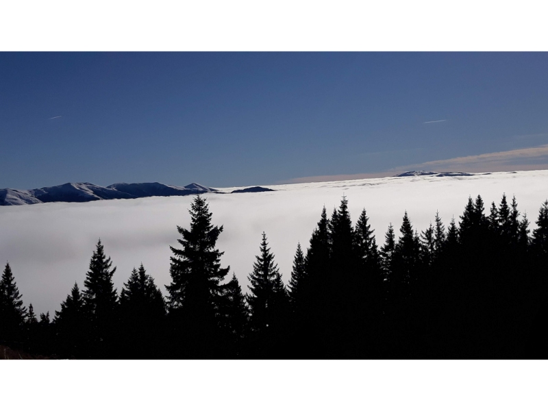 Mare Alpina Mare Alpina