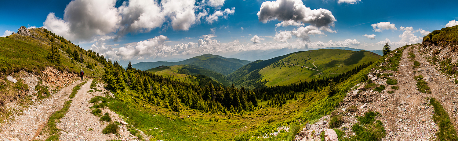 Munții Tulișa