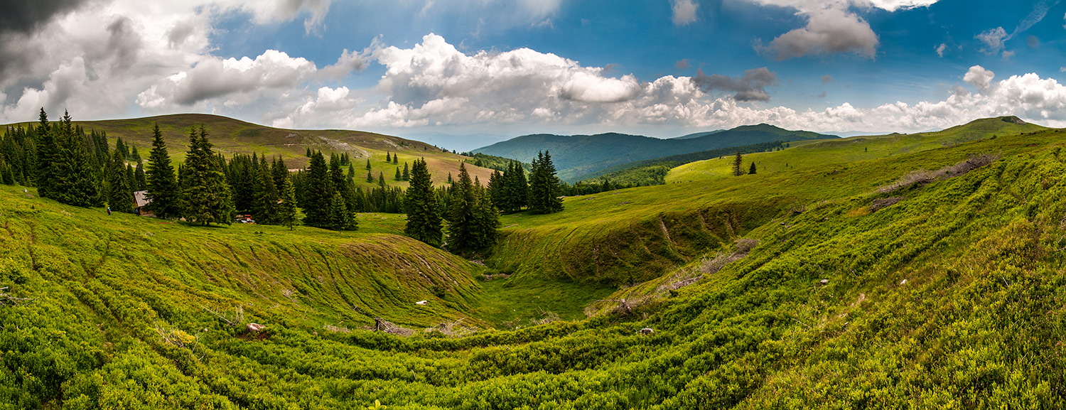 Munții Tulișa