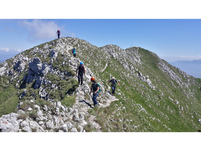 Pe creasta Craiului Pe creasta Craiului