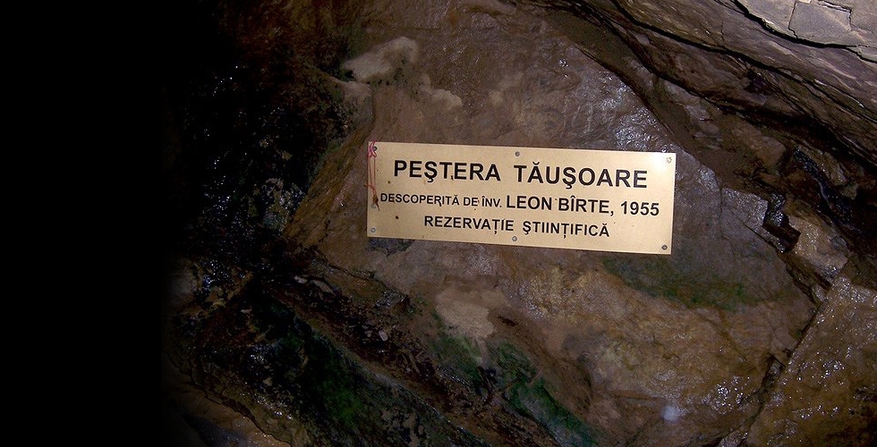  Peștera Izvorul Tăușoarei - Complex Muzeaul Bistrița - Năsăud