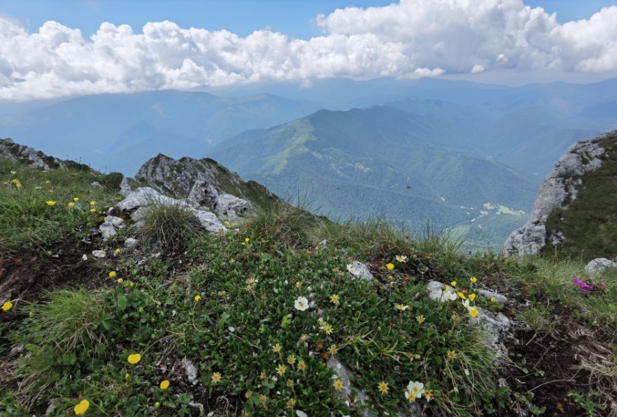 In creasta In creasta