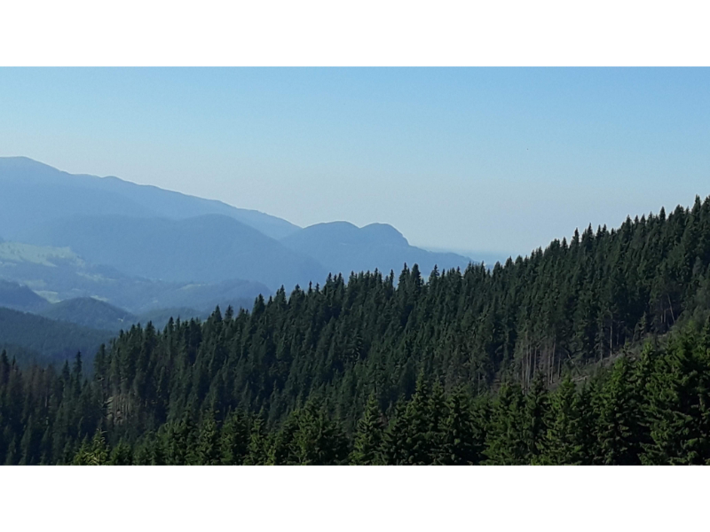 Piatra Dragoslavelor Piatra Dragoslavelor