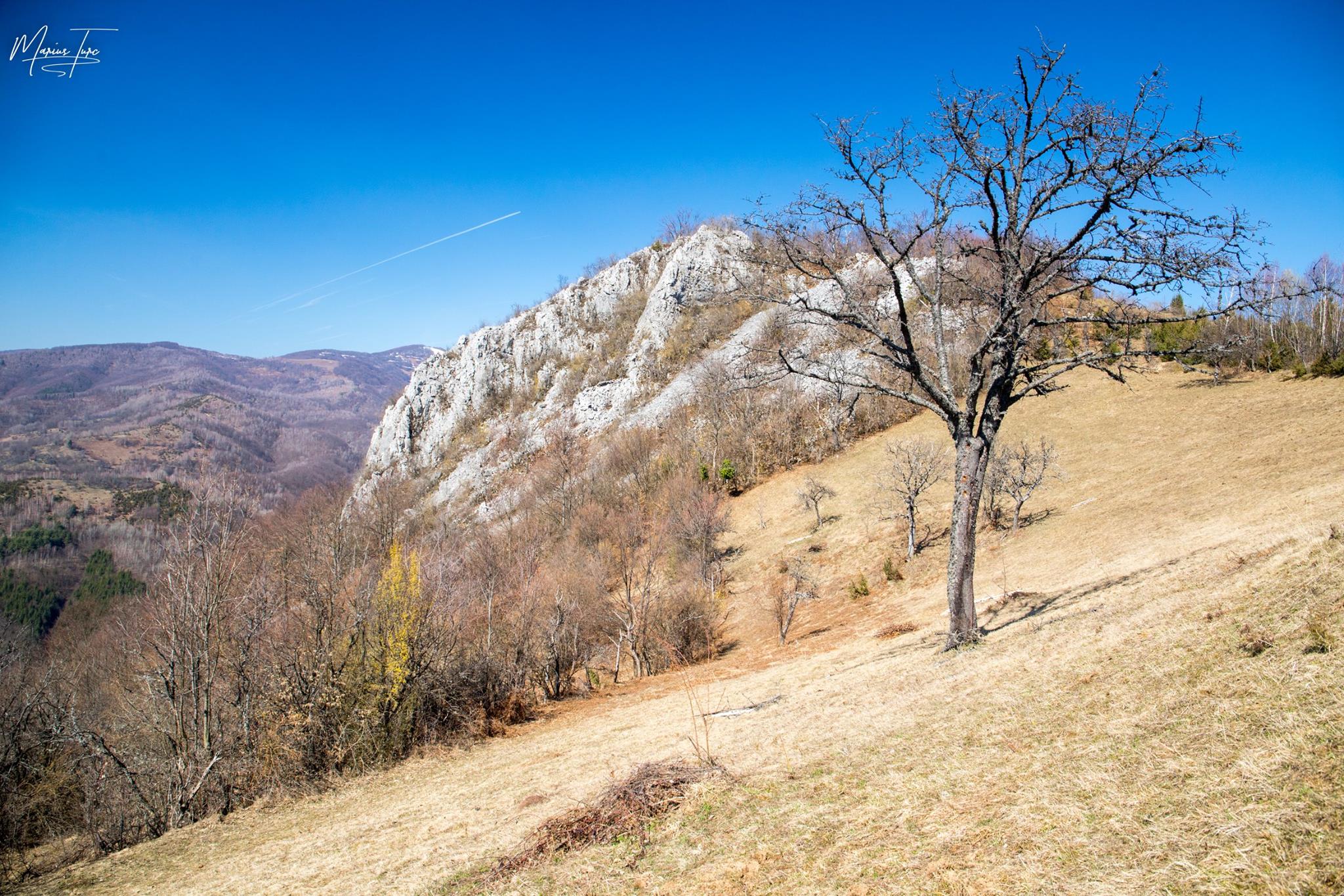  Piatra Ionileștilor - Marius Turc