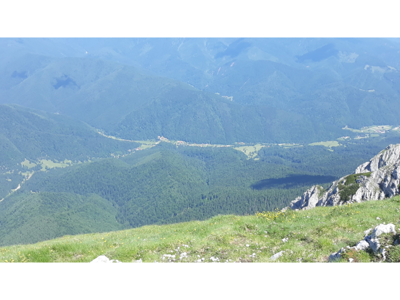 Plaiul Foii Plaiul Foii