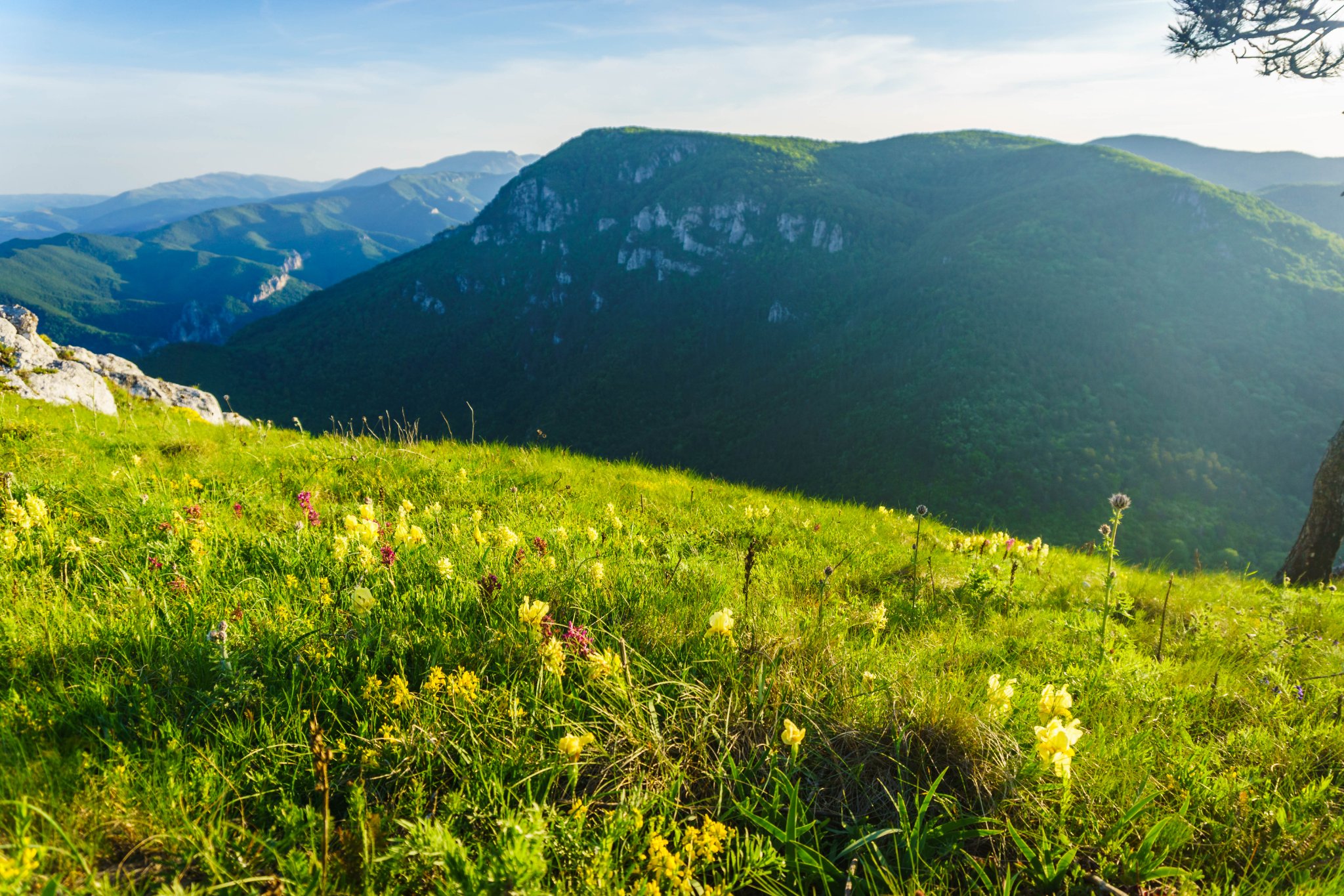  Rezervația peisagistică Domogled - Madalina Cucu