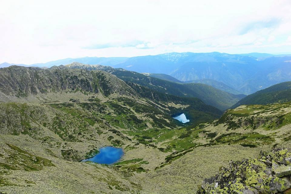  Rezervația științifică Lacul Știrbu și lacul Gemenele - Mugurel Neag