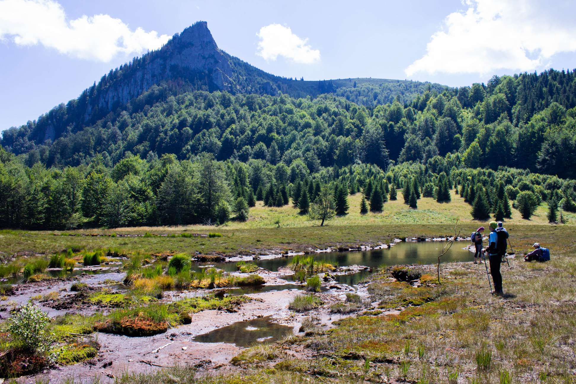  Rezervația Tăurile Chendroaiei - foto Ovidiu Motioc 