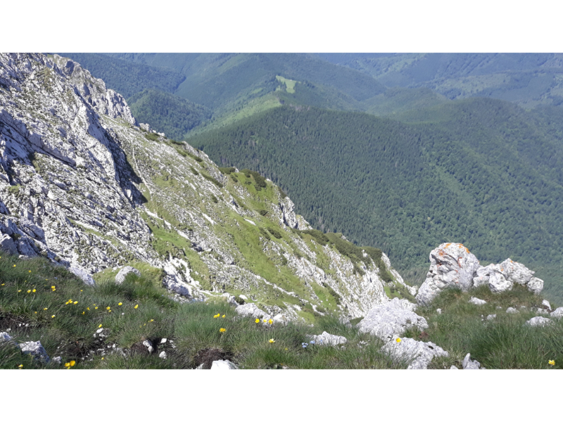 Spre Poiana Inchisa Spre Poiana Inchisa