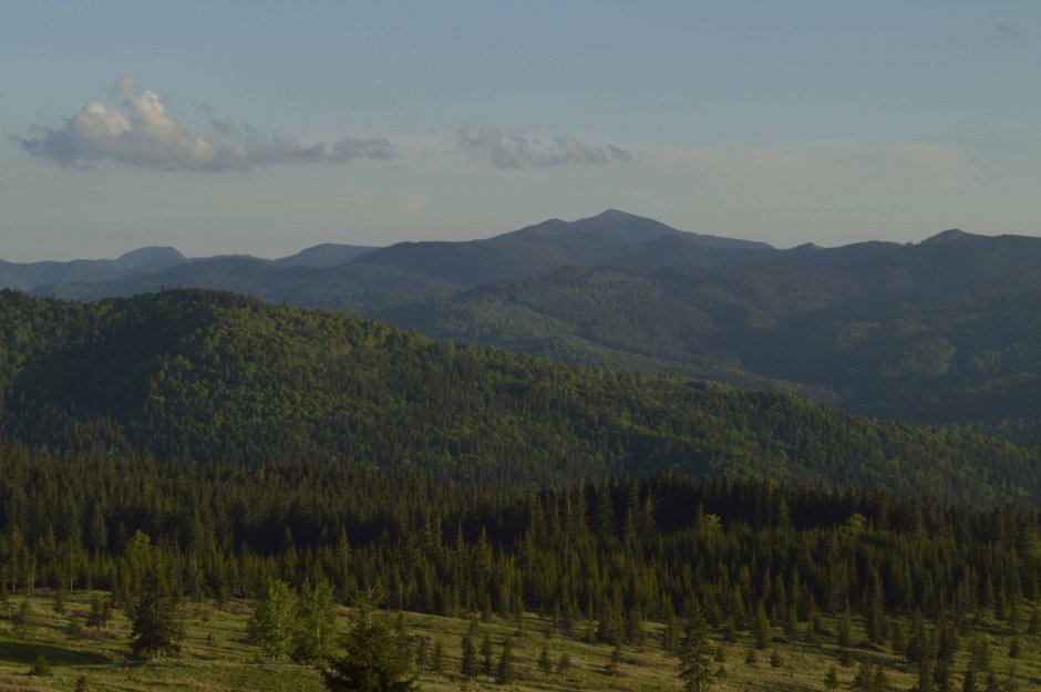 29mn img 20tr vedere de pe muntele giurgiu spre masivul penteleu