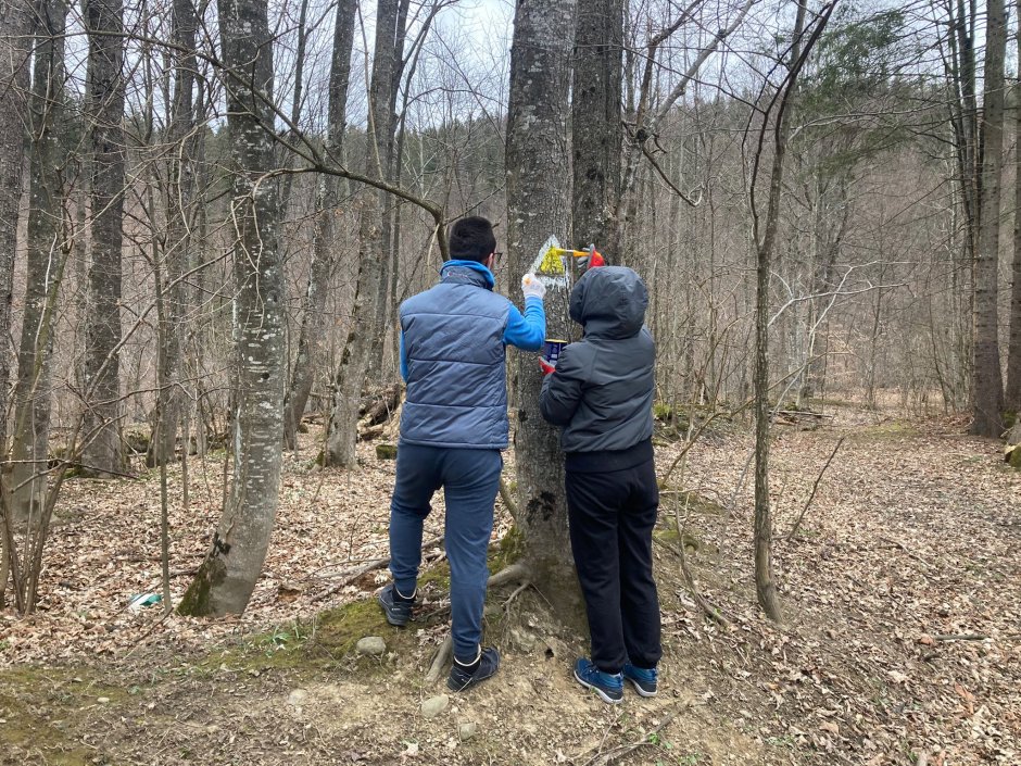 336758017 869688617465297 5947924299500414988 n